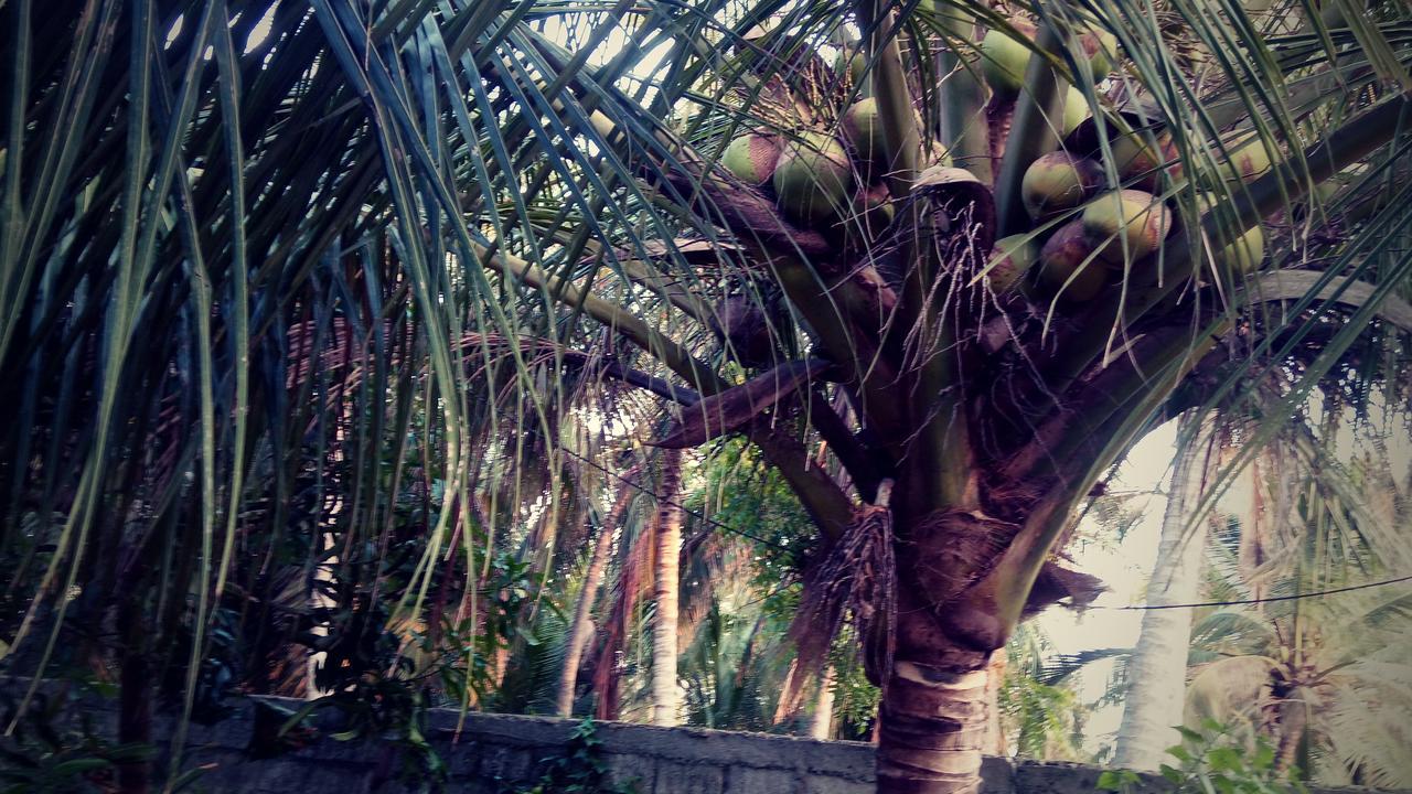 Sampathaa Residence Negombo Dış mekan fotoğraf