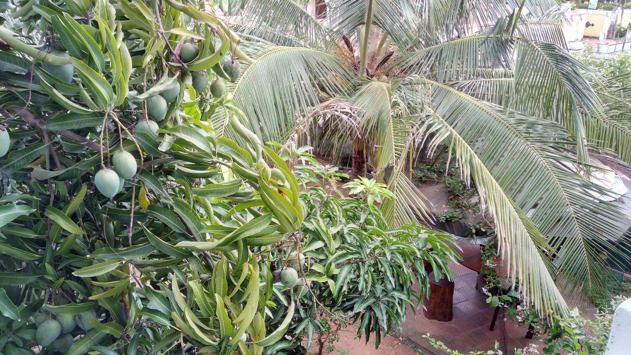 Sampathaa Residence Negombo Dış mekan fotoğraf