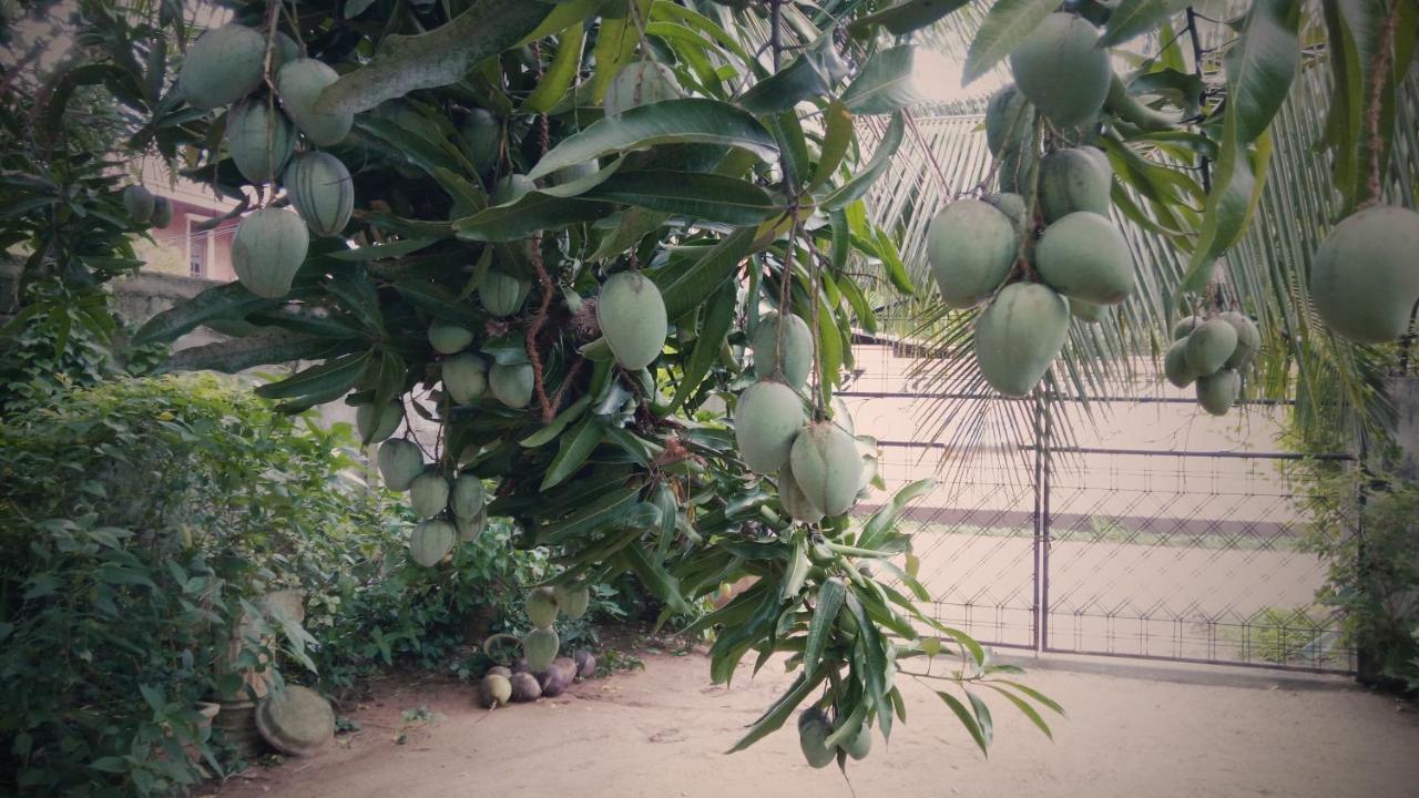 Sampathaa Residence Negombo Dış mekan fotoğraf