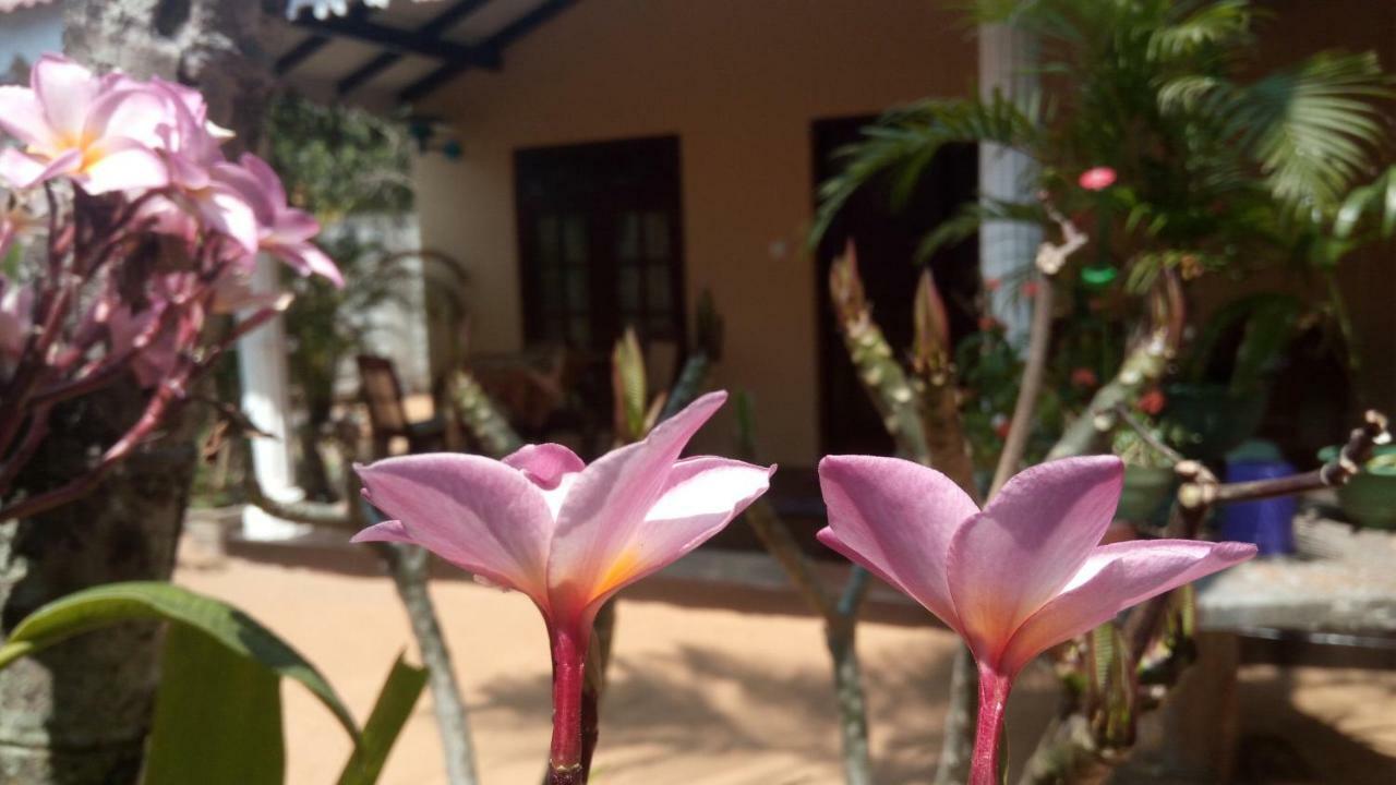 Sampathaa Residence Negombo Oda fotoğraf